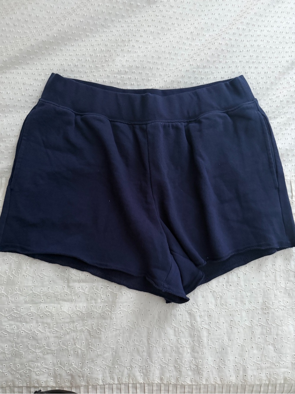 Aerie Alumni Short | Navy - Picture 2 of 2